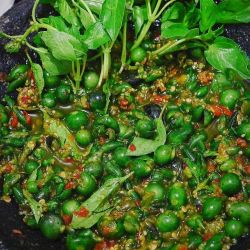 Resep Karedok Leunca Khas Sunda: Sajian Sehat dan Lezat Resep Karedok Leunca Khas Sunda: Sajian Sehat dan Lezat