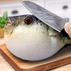 Resep Ikan Dencis Bumbu Kuning: Nikmatnya Cita Rasa Laut Resep Ikan Dencis Bumbu Kuning: Nikmatnya Cita Rasa Laut