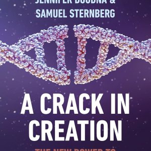 Crack In Creation