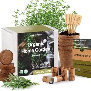 Organic Herb Garden Kit Indoor – Certified Organic & Made in USA | Herb Plants for Women and Men, Indoor Herb Garden Starter Kit, Herb Growing Kit Indoor, Plant Growing Kit, Herb Starter Kit Plant Kit
