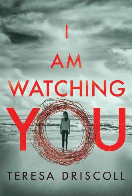 I Am Watching You I Am Watching You