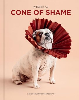 Cone of Shame Cone of Shame