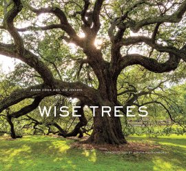 Wise Trees: Ancient trees photographed worldwide, each holding centuries of history in gnarled bark and roots. Wise Trees: Ancient trees photographed worldwide, each holding centuries of history in gnarled bark and roots.