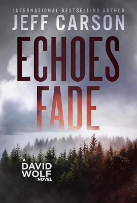 Echoes Fade: David Wolf Mystery Thriller Series, Book 17 Echoes Fade: David Wolf Mystery Thriller Series, Book 17