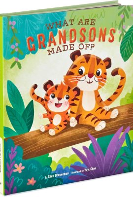 Hallmark Recordable Book for Children (What are Grandsons Made of?) Easter Basket Stuffers Hallmark Recordable Book for Children (What are Grandsons Made of?) Easter Basket Stuffers