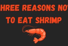 THREE REASONS WE SHOULD NOT EAT SHRIMP THREE REASONS WE SHOULD NOT EAT SHRIMP