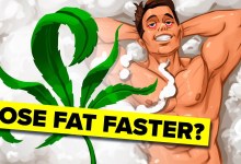 Effects of Weed on Losing Fat | The Workout Show Effects of Weed on Losing Fat | The Workout Show