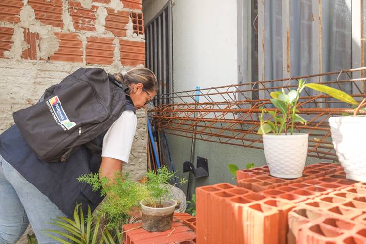 PE: Petrolina mantém baixo índice de infestação do Aedes PE: Petrolina mantém baixo índice de infestação do Aedes