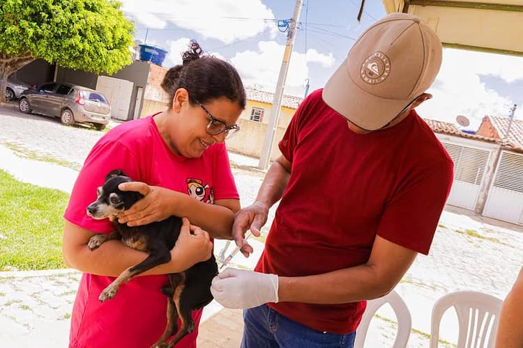 Casa Nova inicia campanha de Vacinação Antirrábica com aplicação de doses em bairros da cidade Casa Nova inicia campanha de Vacinação Antirrábica com aplicação de doses em bairros da cidade