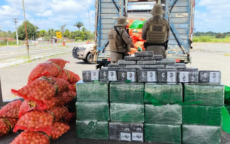 Motorista é preso transportando quase meia tonelada de cocaína em caminhão carregado de cebolas na Bahia; veículo saiu de Juazeiro Motorista é preso transportando quase meia tonelada de cocaína em caminhão carregado de cebolas na Bahia; veículo saiu de Juazeiro