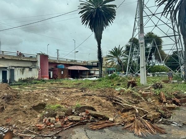 Derrubada de árvores em Juazeiro, BA: Secretaria de Meio Ambiente afirma que replantio está garantido em acordo com construtora responsável pelas obras da Travessia Urbana Derrubada de árvores em Juazeiro, BA: Secretaria de Meio Ambiente afirma que replantio está garantido em acordo com construtora responsável pelas obras da Travessia Urbana