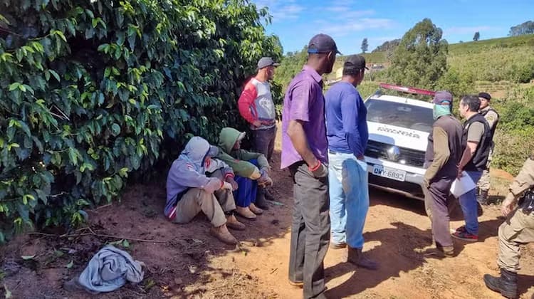 Saco plástico nos pés e água em galão de produtos químicos: 57 trabalhadores são resgatados em situação análoga à escravidão na Bahia Saco plástico nos pés e água em galão de produtos químicos: 57 trabalhadores são resgatados em situação análoga à escravidão na Bahia