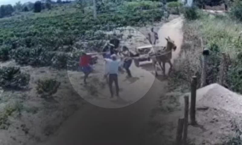 Homem é morto a pauladas na frente da filha, e esposa aponta parentes como suspeitos do crime na Bahia Homem é morto a pauladas na frente da filha, e esposa aponta parentes como suspeitos do crime na Bahia