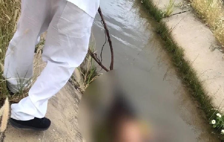 Assassinato em Petrolina, PE: corpo de homem é encontrado próximo ao bairro Cosme e Damião Assassinato em Petrolina, PE: corpo de homem é encontrado próximo ao bairro Cosme e Damião