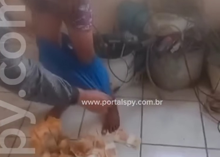 Adolescente entra em casa, furta dinheiro e é flagrado com notas escondidas na roupa Adolescente entra em casa, furta dinheiro e é flagrado com notas escondidas na roupa
