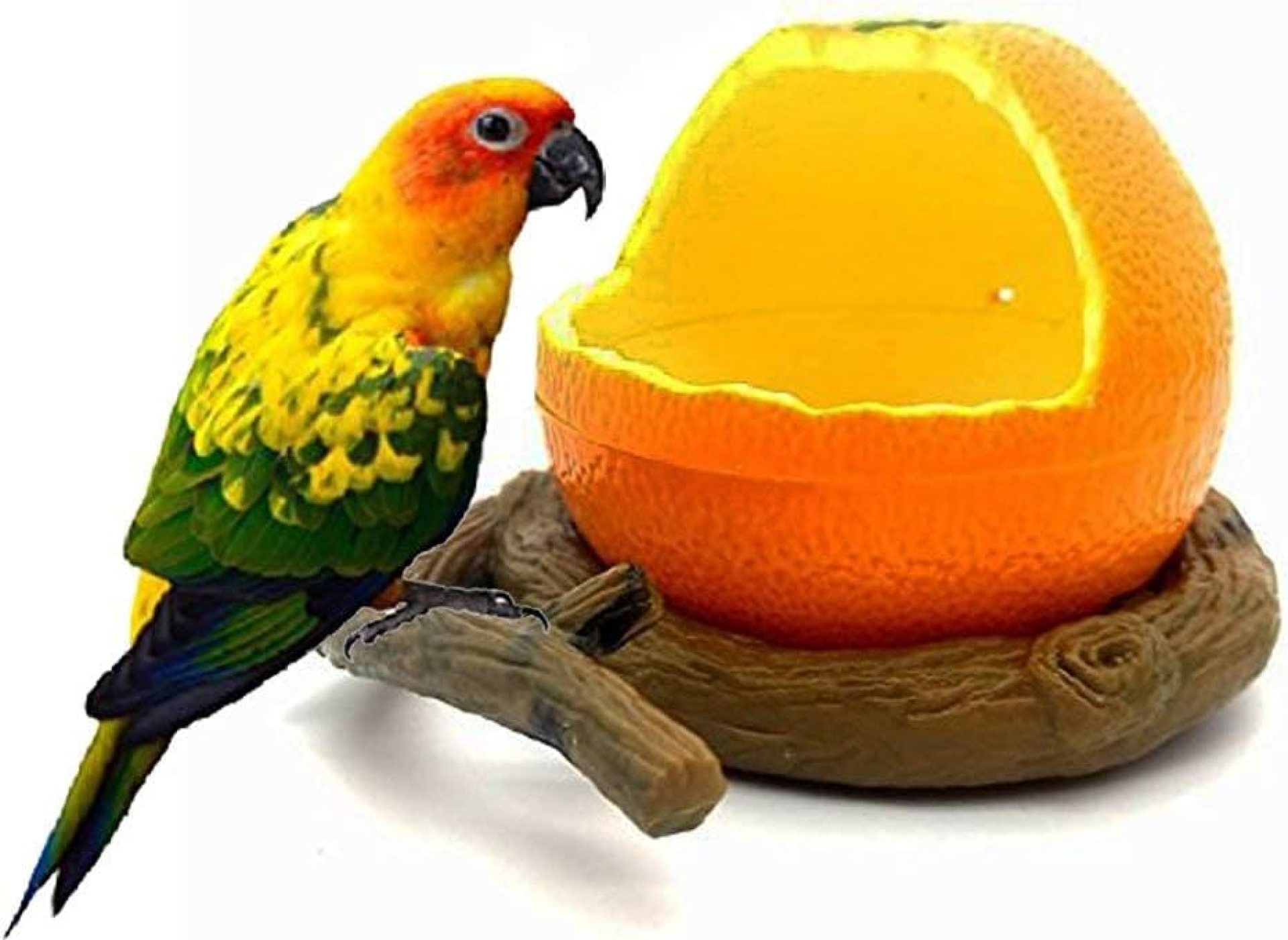 Birds Feeder Bowl,Bird Food Feeding Bowl Feed Cup for Small Parrots Cockatiels Conure Hamster Small Animal Drinking Water Container for Birds Cage Accessories,Orange Birds Feeder Bowl,Bird Food Feeding Bowl Feed Cup for Small Parrots Cockatiels Conure Hamster Small Animal Drinking Water Container for Birds Cage Accessories,Orange