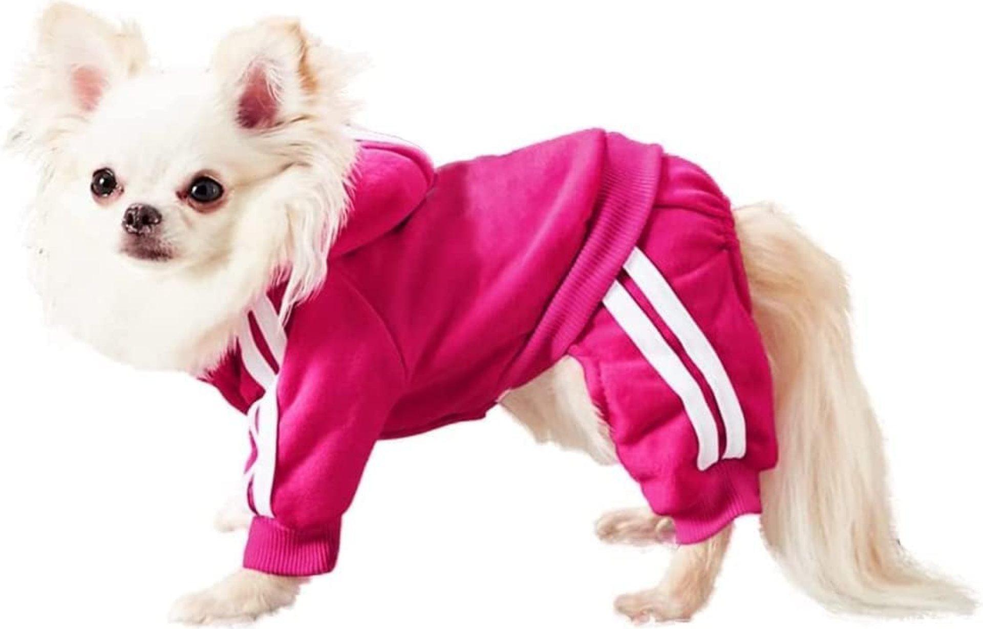 MeowWow Small Puppy Dog Hoodie Puppy Clothes Sweater 4 Legs Dogs Jumpsuit Fleece Sweatshirt Pet Outfit Girl Winter Clothes Cotton Puppy Hoodies for Small Medium Dogs Cats Apparel MeowWow Small Puppy Dog Hoodie Puppy Clothes Sweater 4 Legs Dogs Jumpsuit Fleece Sweatshirt Pet Outfit Girl Winter Clothes Cotton Puppy Hoodies for Small Medium Dogs Cats Apparel