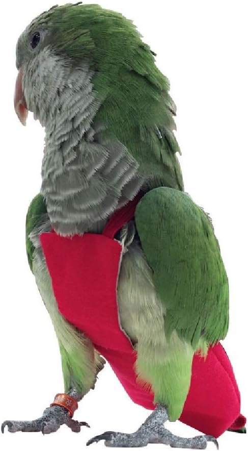 Parrot Diaper Bird Flight Suit, Bird Clothes, Waterproof Lining Pet Bird Supplies (5XL, Red) Parrot Diaper Bird Flight Suit, Bird Clothes, Waterproof Lining Pet Bird Supplies (5XL, Red)