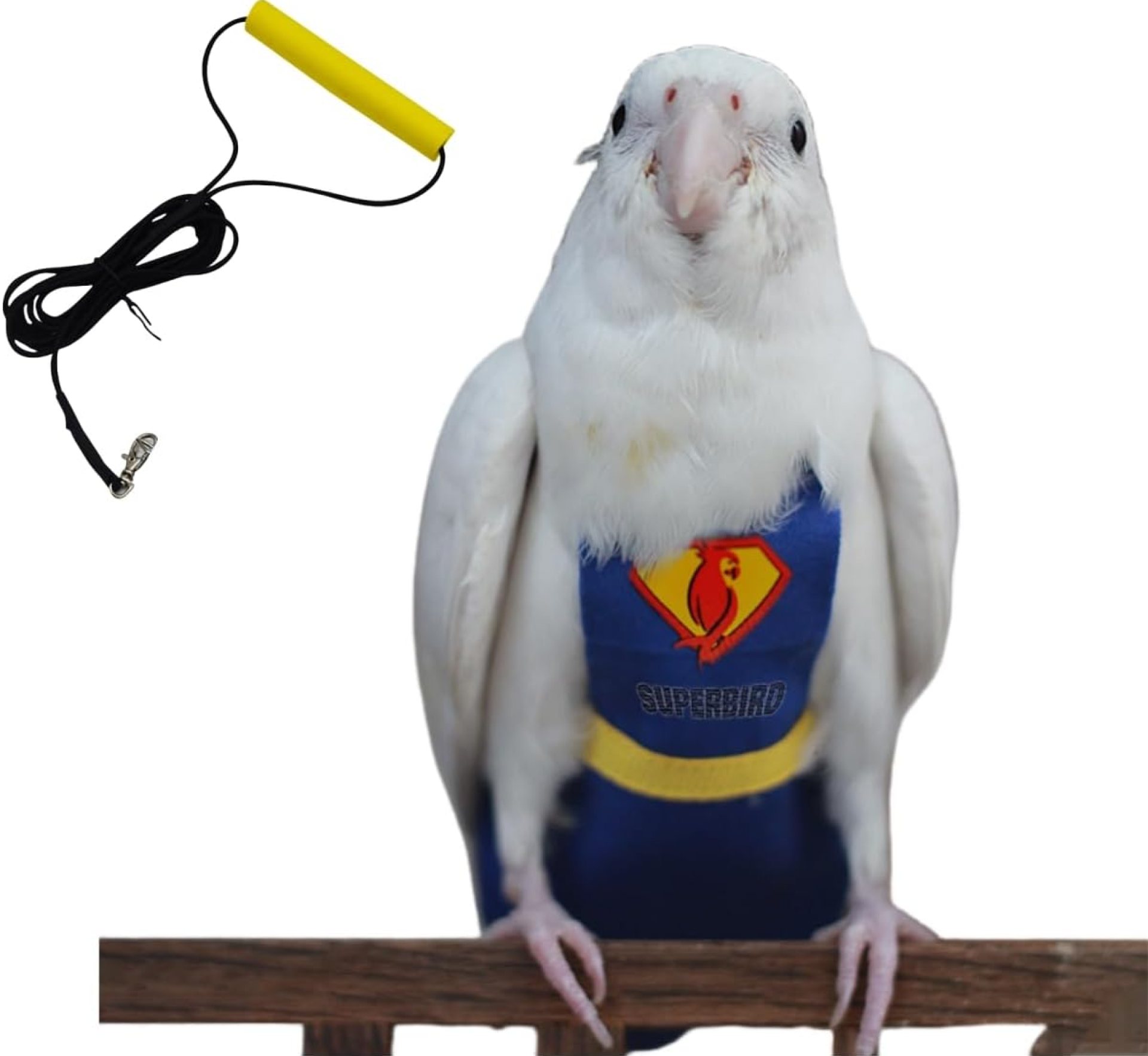 Bird Diapers and Parrot Flight Suit Clothes with Leash, Washable and Reusable Parrot Nappies for Outdoor Activities, Fits Budgie, Lovebird and Cockatiel (with Leash,S) Bird Diapers and Parrot Flight Suit Clothes with Leash, Washable and Reusable Parrot Nappies for Outdoor Activities, Fits Budgie, Lovebird and Cockatiel (with Leash,S)