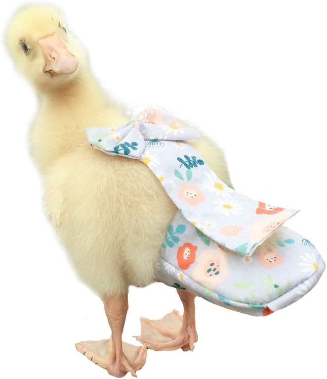 Duck Diapers, Chicken Diapers, Special Diapers for Poultry, Chicken, Duck and Goose Waterproof, Adjustable, Washable and Reusable Diapers,Poultry Supplies, Duck Supplies (M:200g-250g) Duck Diapers, Chicken Diapers, Special Diapers for Poultry, Chicken, Duck and Goose Waterproof, Adjustable, Washable and Reusable Diapers,Poultry Supplies, Duck Supplies (M:200g-250g)