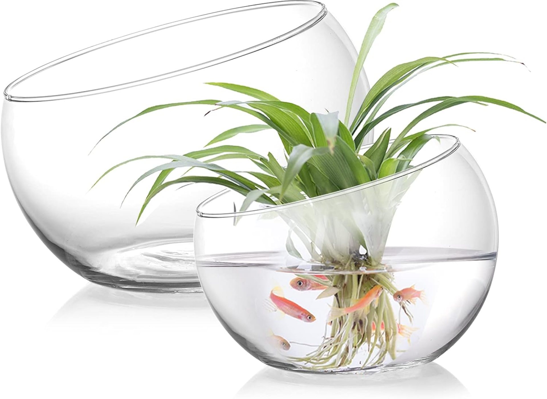YOUEON 2 Pcs Glass Slant Cut Bowl Vase, 6.5″ W x 5.5″ H, 5.2″ W x 4.8″ H Clear Glass Terrarium Bowl for Plants, Succulent, Air Plant, Candy Bowls, Fruit Bowls for Centerpiece, Wedding, Home Decor YOUEON 2 Pcs Glass Slant Cut Bowl Vase, 6.5″ W x 5.5″ H, 5.2″ W x 4.8″ H Clear Glass Terrarium Bowl for Plants, Succulent, Air Plant, Candy Bowls, Fruit Bowls for Centerpiece, Wedding, Home Decor