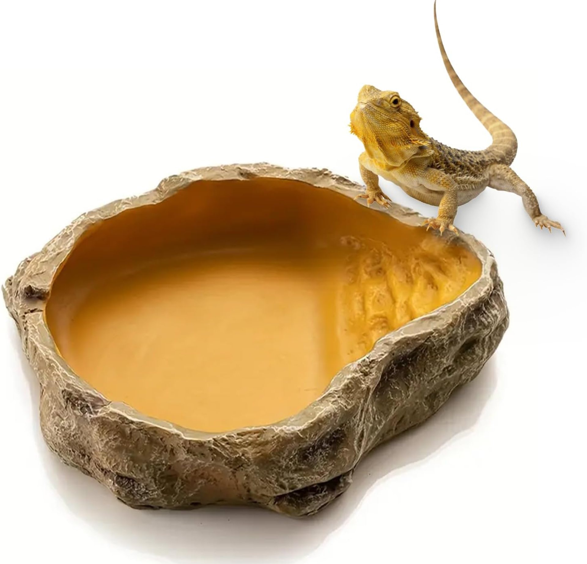 Reptile Water Dish,Resin Reptile Rock Food Feeder Bowl, Water and Food Bowl, Terrarium Decor for Leopard Gecko, Lizard,Spider, Turtle,Scorpion, Chameleon, Hermit Crabs (Small, Yellow) Reptile Water Dish,Resin Reptile Rock Food Feeder Bowl, Water and Food Bowl, Terrarium Decor for Leopard Gecko, Lizard,Spider, Turtle,Scorpion, Chameleon, Hermit Crabs (Small, Yellow)