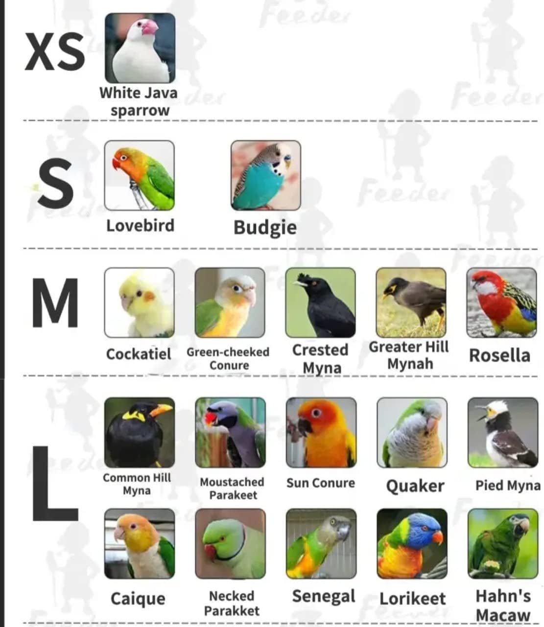 Bird Flight Suits Diapers, Parrot Flight Suits Diapers for Monk Parakeets, Cockatiels Flight Suits, Parrot Clothes, Bird Training Nappy Suit Liners Clothes (X-Small,Yellow-D) Bird Flight Suits Diapers, Parrot Flight Suits Diapers for Monk Parakeets, Cockatiels Flight Suits, Parrot Clothes, Bird Training Nappy Suit Liners Clothes (X-Small,Yellow-D)