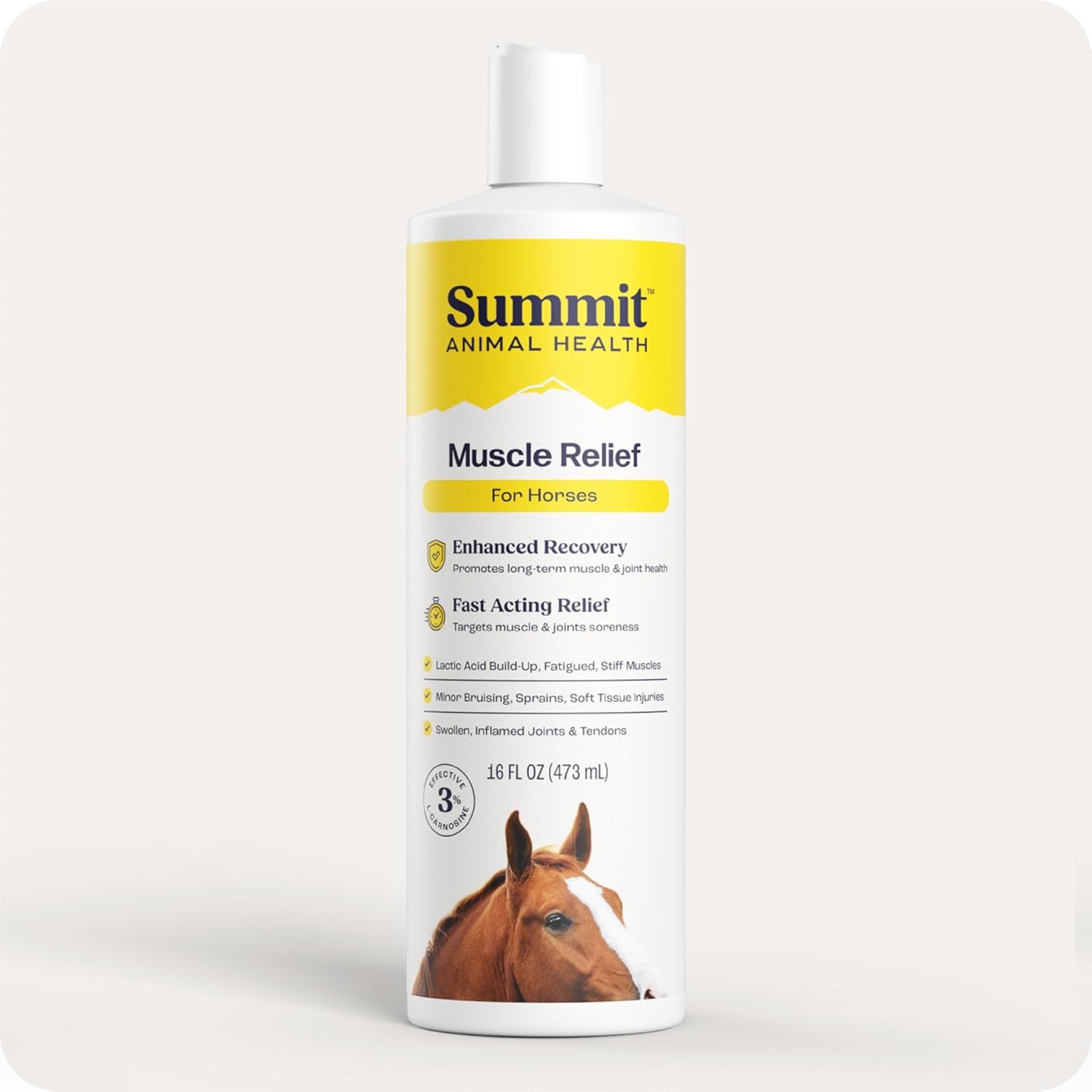 Summit Equine Muscle Relief Gel for Horses – Advanced L-Carnosine Formula for Sore Muscle Recovery, Inflammation Reduction, and Joint Comfort – 16 fl oz Summit Equine Muscle Relief Gel for Horses – Advanced L-Carnosine Formula for Sore Muscle Recovery, Inflammation Reduction, and Joint Comfort – 16 fl oz