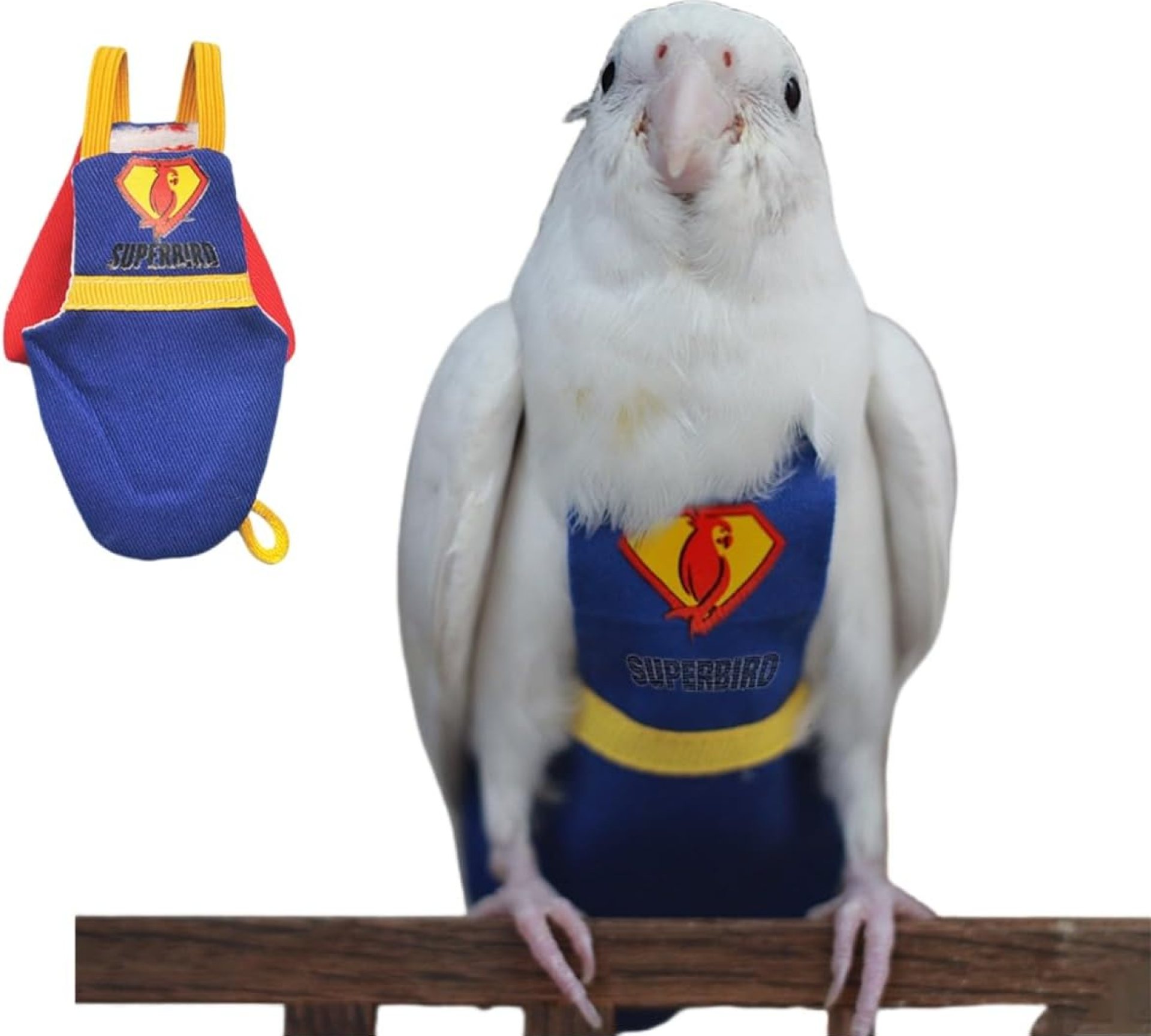 Bird Diapers and Parrot Flight Suit Clothes with Leash, Washable and Reusable Parrot Nappies for Outdoor Activities, Fits Budgie, Lovebird and Cockatiel (Without Leash,M), Medium Bird Diapers and Parrot Flight Suit Clothes with Leash, Washable and Reusable Parrot Nappies for Outdoor Activities, Fits Budgie, Lovebird and Cockatiel (Without Leash,M), Medium