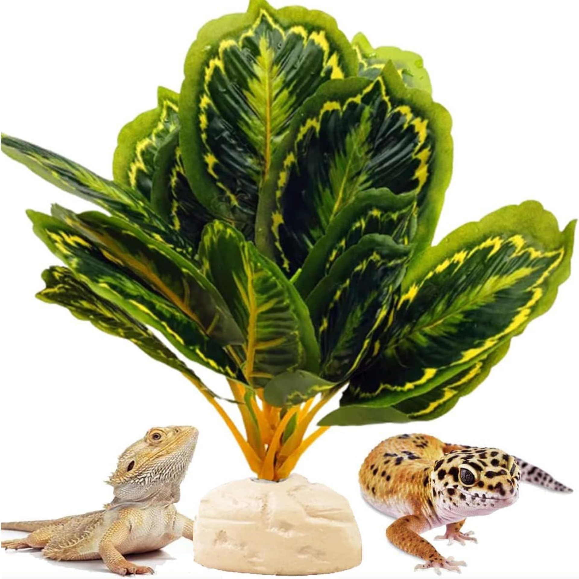 Reptile Decor Plants,Amphibian Habitat Decor,Artificial Plants for Bearded DragonTank Accessories Suitable for Leopard Gecko Lizard Chameleon Snake Tortoise (Calathea makoyana -A) Reptile Decor Plants,Amphibian Habitat Decor,Artificial Plants for Bearded DragonTank Accessories Suitable for Leopard Gecko Lizard Chameleon Snake Tortoise (Calathea makoyana -A)