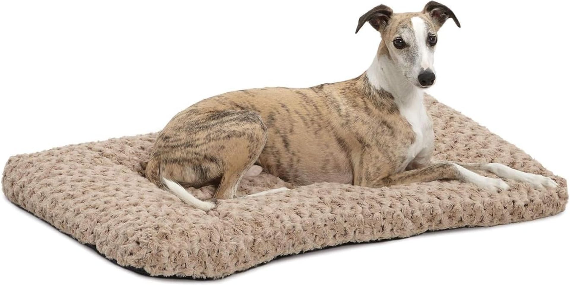 MidWest Homes for Pets Deluxe Dog Beds | Super Plush Dog & Cat Beds Ideal for Dog Crates | Machine Wash & Dryer Friendly, 1-Year Warranty MidWest Homes for Pets Deluxe Dog Beds | Super Plush Dog & Cat Beds Ideal for Dog Crates | Machine Wash & Dryer Friendly, 1-Year Warranty