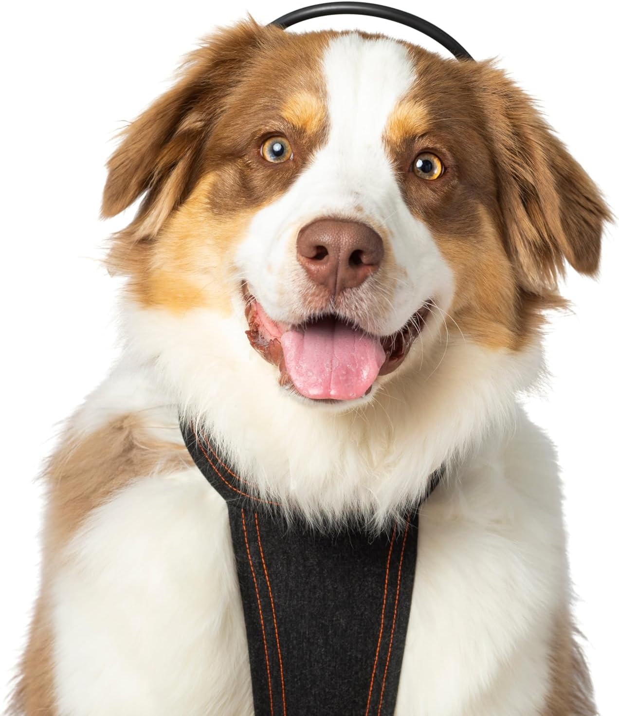 Bundle – Medium Anxiety Treatment Device for Dogs with Convenience Vest (M) Bundle – Medium Anxiety Treatment Device for Dogs with Convenience Vest (M)