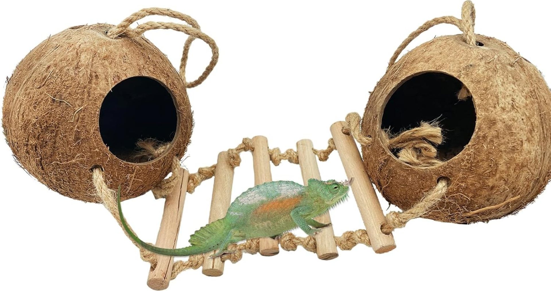 Gecko Coconut Shell Hut Reptile Hideout Home Nesting House Natural Habitat Decor with Hanging Wooden Ladder for Lizard Gecko Hermit Crab Gecko Coconut Shell Hut Reptile Hideout Home Nesting House Natural Habitat Decor with Hanging Wooden Ladder for Lizard Gecko Hermit Crab