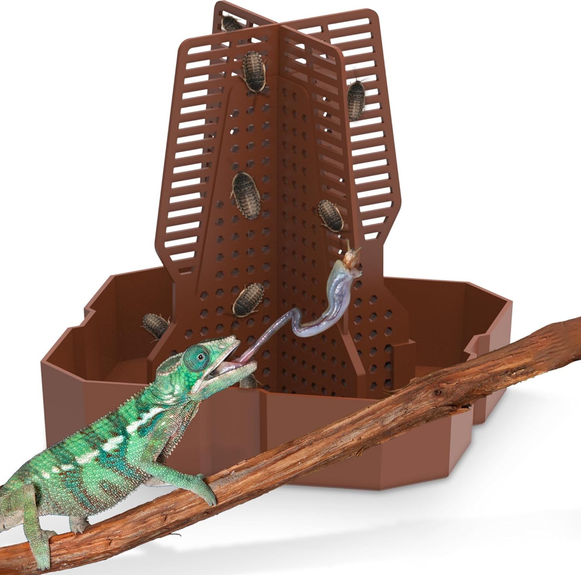 Chameleon Feeding Bowl for Reptile Terrarium, Climbable Design for Reptile to Hunt, Suitable for Feeding Lizards, Bearded Dragons, Geckos, Guardians, Frogs, Reddish Brown, Large Chameleon Feeding Bowl for Reptile Terrarium, Climbable Design for Reptile to Hunt, Suitable for Feeding Lizards, Bearded Dragons, Geckos, Guardians, Frogs, Reddish Brown, Large
