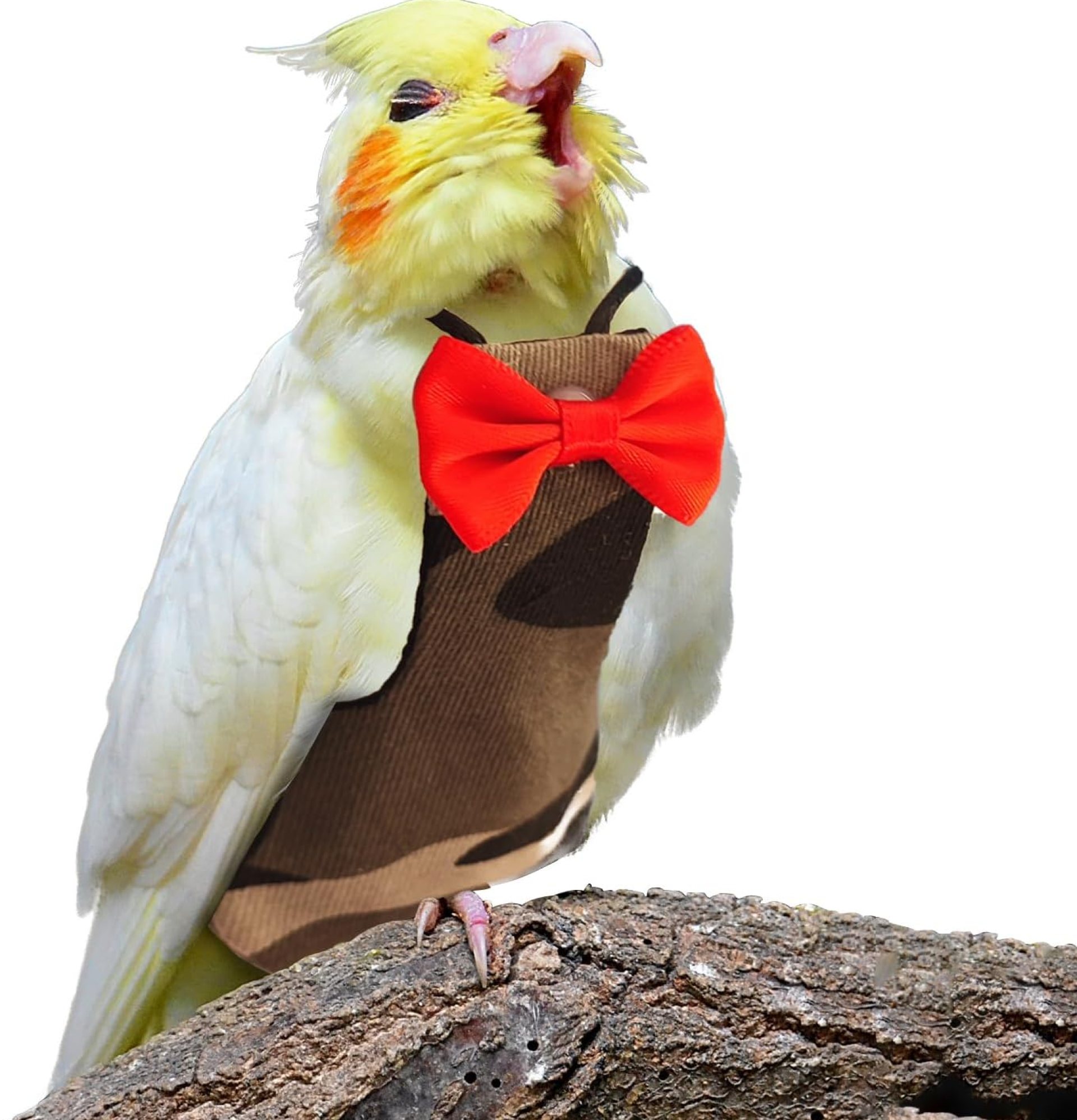 Bird Diaper Washable Parrot Diapers Reusable Bird Flight Suit Nappies Protective Breathable Parrot Nappy Clothes for Parakeet Parrot Macaw Budgie Canary Budgie Cockatiel(Camouflage, Large) Bird Diaper Washable Parrot Diapers Reusable Bird Flight Suit Nappies Protective Breathable Parrot Nappy Clothes for Parakeet Parrot Macaw Budgie Canary Budgie Cockatiel(Camouflage, Large)