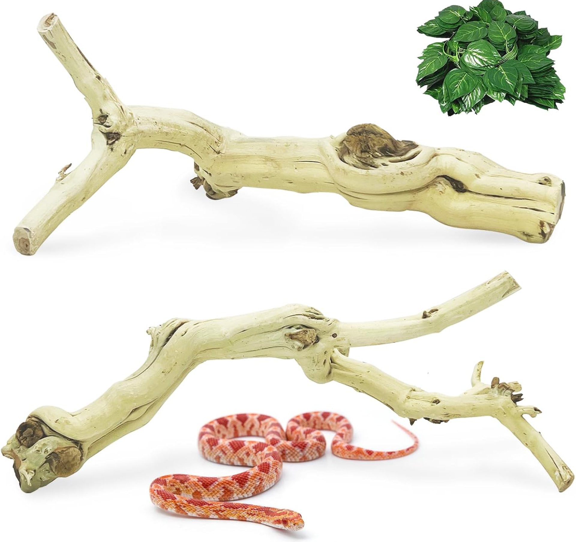 VCEPJH Snake Climbing Branch 3PCS Reptile Wood Natural Cork Log Terrarium Decor Bearded Dragon Tank Accessories Tree Trunk for Chameleon Gecko Ball Python Frog Panlong Wood (11.8-15.7in) VCEPJH Snake Climbing Branch 3PCS Reptile Wood Natural Cork Log Terrarium Decor Bearded Dragon Tank Accessories Tree Trunk for Chameleon Gecko Ball Python Frog Panlong Wood (11.8-15.7in)