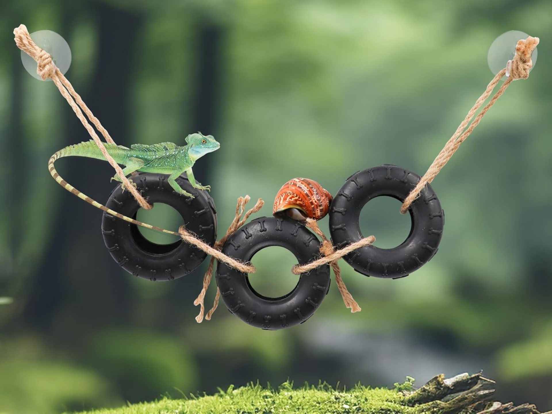 Hermit Crab Climbing Toys, Reptile Tire Swing Toy, Reptile Tank Aquarium Decoration Accessories for Lizard Chameleon Hermit Crab Leopard Gecko Frog Hermit Crab Climbing Toys, Reptile Tire Swing Toy, Reptile Tank Aquarium Decoration Accessories for Lizard Chameleon Hermit Crab Leopard Gecko Frog