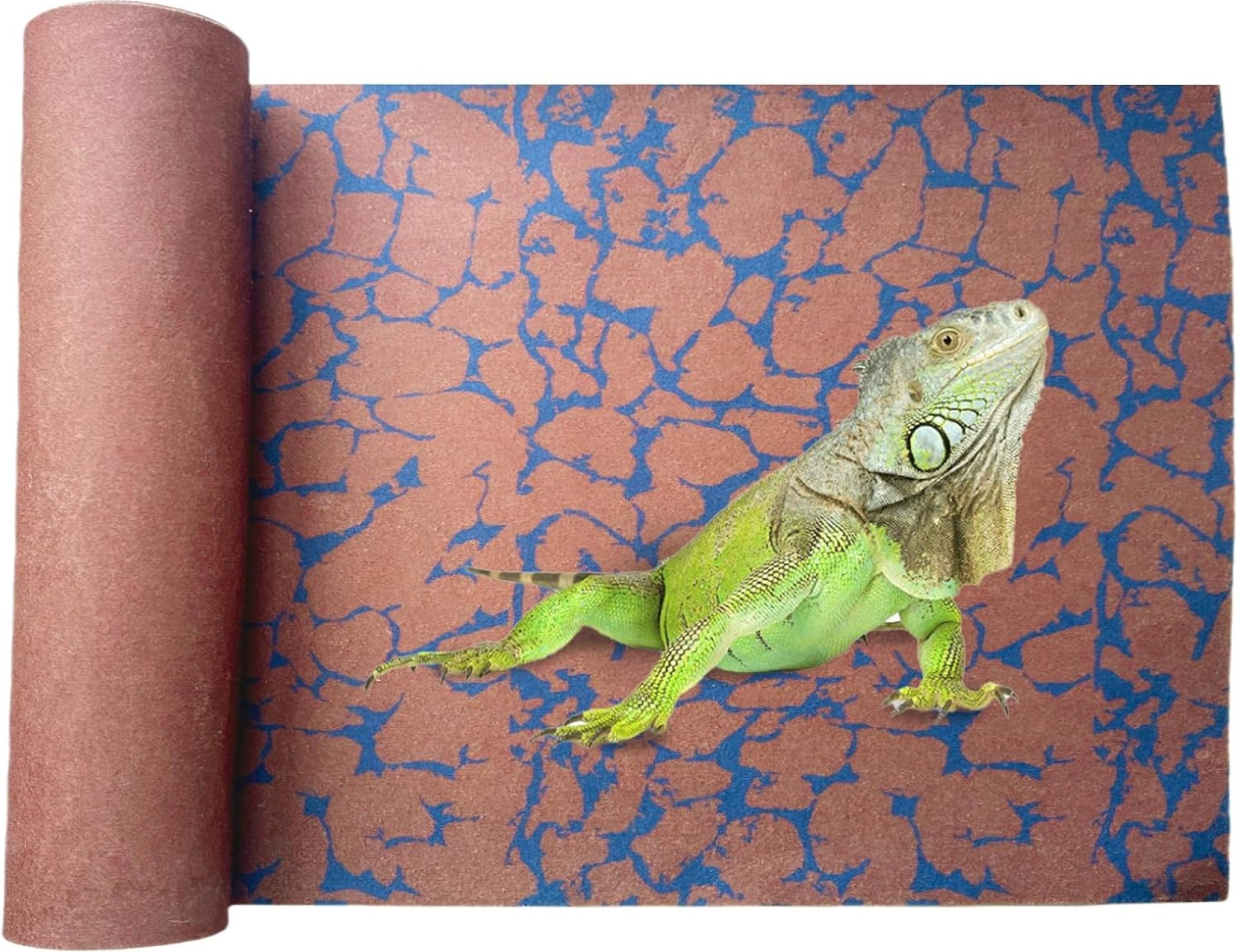 BNOSDM Reptile Carpet Pet Desert Mat Terrarium Liner Bedding Mats Reversible Substrate for Lizard Gecko Tortoise Snake Chameleon Bearded Dragon 39.3×19.6IN BNOSDM Reptile Carpet Pet Desert Mat Terrarium Liner Bedding Mats Reversible Substrate for Lizard Gecko Tortoise Snake Chameleon Bearded Dragon 39.3×19.6IN