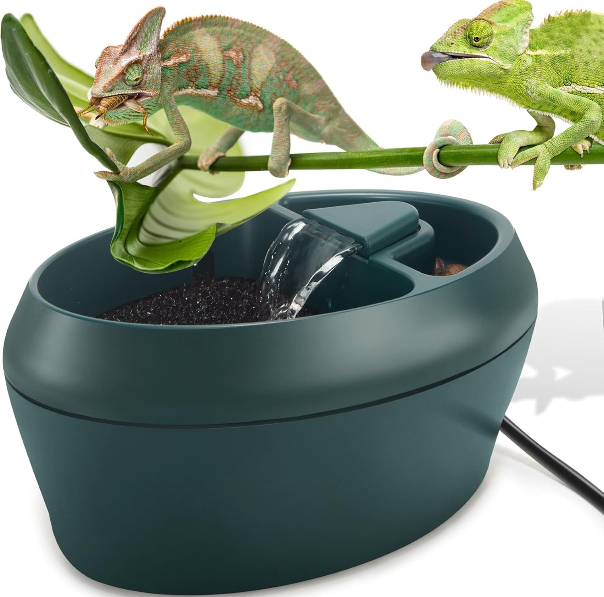 Reptile Chameleon Cantina with Snacks Trough, Drinking Fountain Water Dripper for Amphibians Insects Lizard Turtle Snake Spider Frog Gecko, Comes with Two Pumps (One for Replacement) Reptile Chameleon Cantina with Snacks Trough, Drinking Fountain Water Dripper for Amphibians Insects Lizard Turtle Snake Spider Frog Gecko, Comes with Two Pumps (One for Replacement)