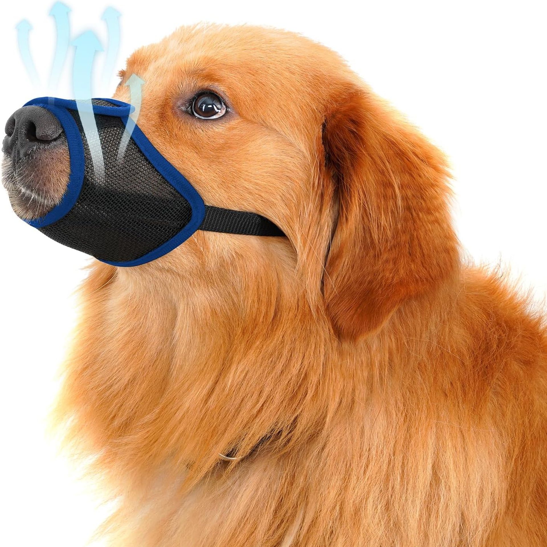 Dog Mouth, Soft Mesh Mouth for Small, Medium and Large Dogs, Anti-Biting Barking Chewing, Breathable Drinking Adjustable Cleaning, for German Shepherd Husky Labrador Retriever (Blue) (XL) Dog Mouth, Soft Mesh Mouth for Small, Medium and Large Dogs, Anti-Biting Barking Chewing, Breathable Drinking Adjustable Cleaning, for German Shepherd Husky Labrador Retriever (Blue) (XL)