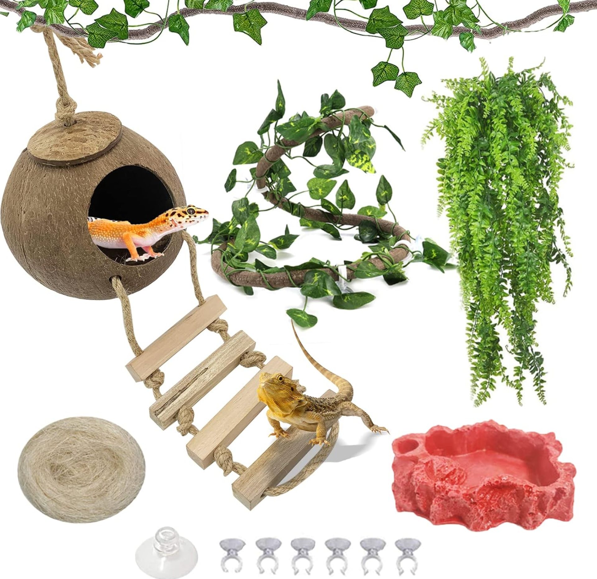 Hamiledyi Crested Gecko Coco Hut Natural Reptile Coconut Hideouts Lizard Water Food Bowls Climbing Porch Hiding Sleeping Breeding Pad Jungle Vine Flexible Reptile Leaves for Bearded Dragon 6PCS Hamiledyi Crested Gecko Coco Hut Natural Reptile Coconut Hideouts Lizard Water Food Bowls Climbing Porch Hiding Sleeping Breeding Pad Jungle Vine Flexible Reptile Leaves for Bearded Dragon 6PCS