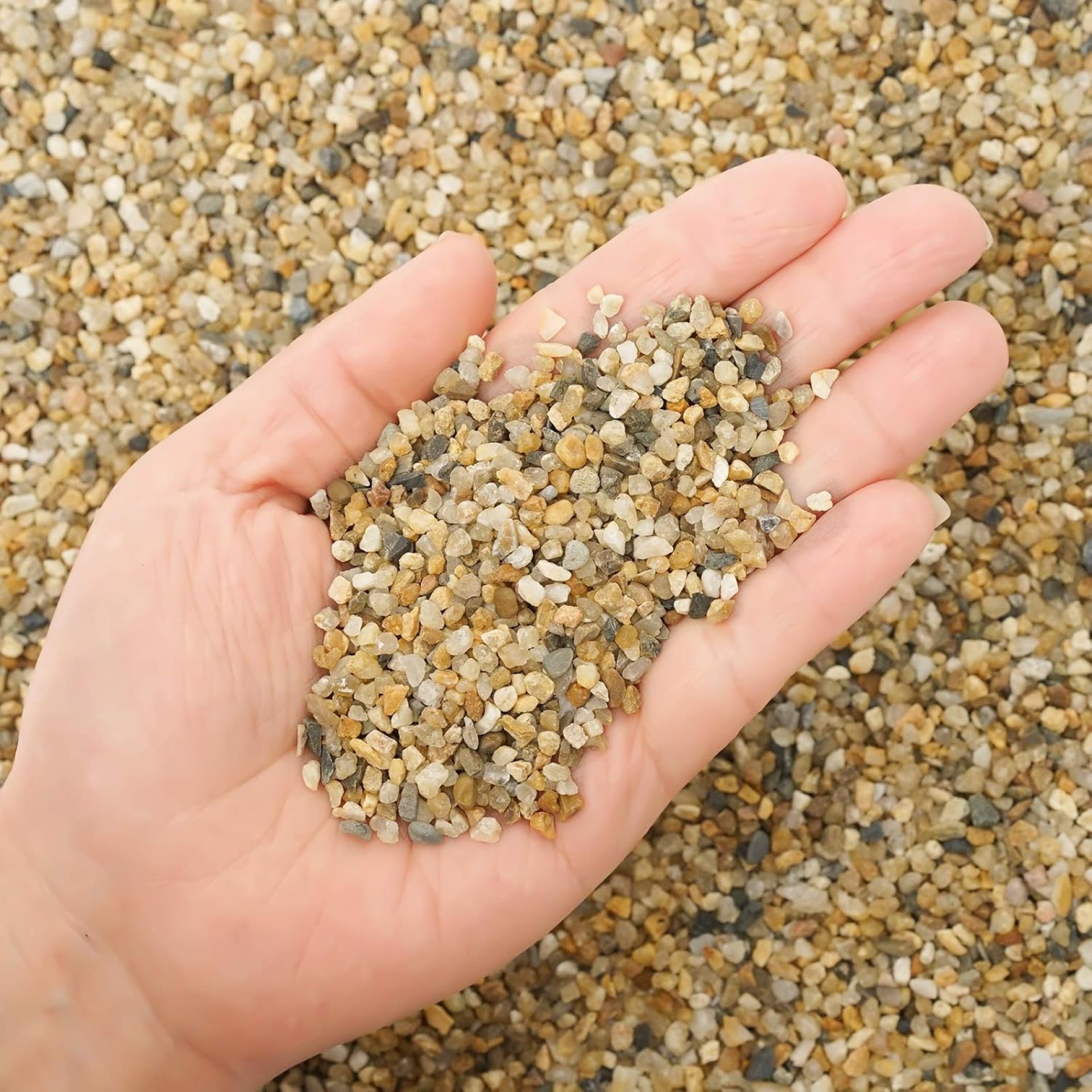 5 lb Coarse Sand Stone – Succulents and Cactus Bonsai DIY Projects Rocks, Decorative Gravel for Plants and Vases Fillers,Terrarium, Fairy Gardening, Natural Stone Top Dressing for Potted Plants. 5 lb Coarse Sand Stone – Succulents and Cactus Bonsai DIY Projects Rocks, Decorative Gravel for Plants and Vases Fillers,Terrarium, Fairy Gardening, Natural Stone Top Dressing for Potted Plants.