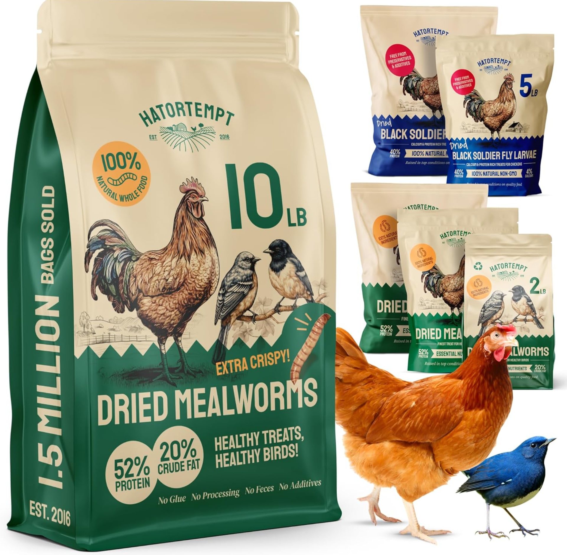 Bulk Dried Mealworms, 10 Lbs – Non-GMO Mealworms for Chicken & Birds – Insect Protein for Poultry Feed – Worms for Chickens, Laying Hens, Quail, Ducks – Bird Seed Alternative Bulk Dried Mealworms, 10 Lbs – Non-GMO Mealworms for Chicken & Birds – Insect Protein for Poultry Feed – Worms for Chickens, Laying Hens, Quail, Ducks – Bird Seed Alternative