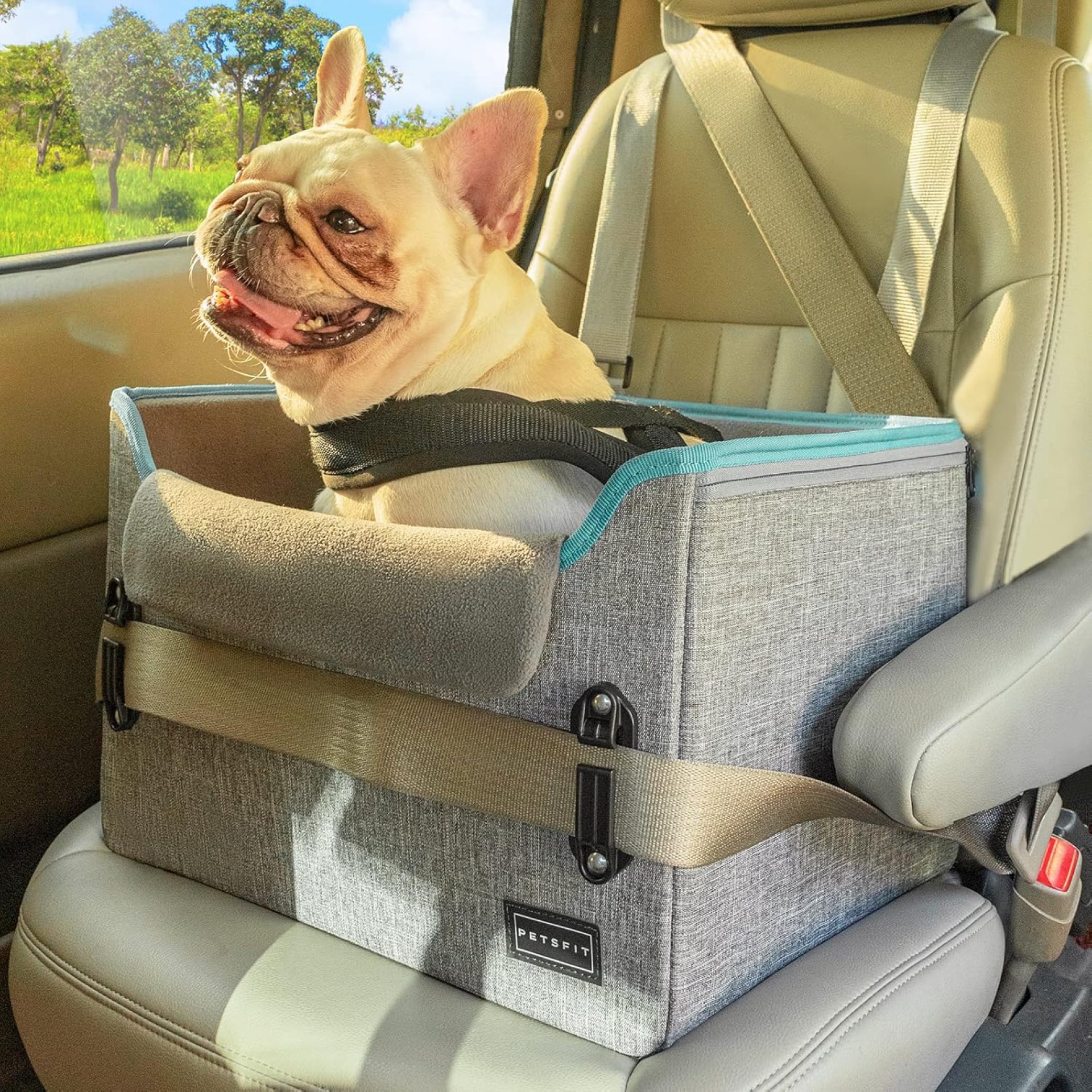 PETSFIT Dog Car Seats for Small Dogs, Portable Dog Booster Car Seat with Patent Safe Buckles, Clip-On Leash, Suitable for Small Pets Up to 25lbs (Grey) PETSFIT Dog Car Seats for Small Dogs, Portable Dog Booster Car Seat with Patent Safe Buckles, Clip-On Leash, Suitable for Small Pets Up to 25lbs (Grey)