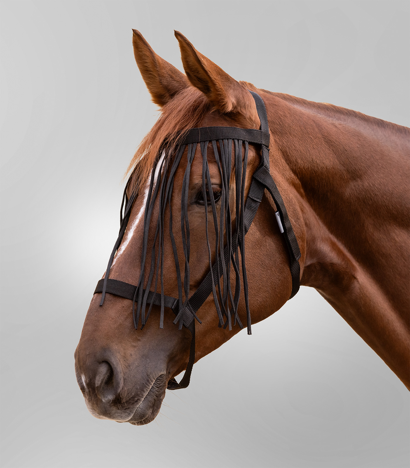 Waldhausen Weidehalfter mit Fliegenfransen Waldhausen Weidehalfter mit Fliegenfransen