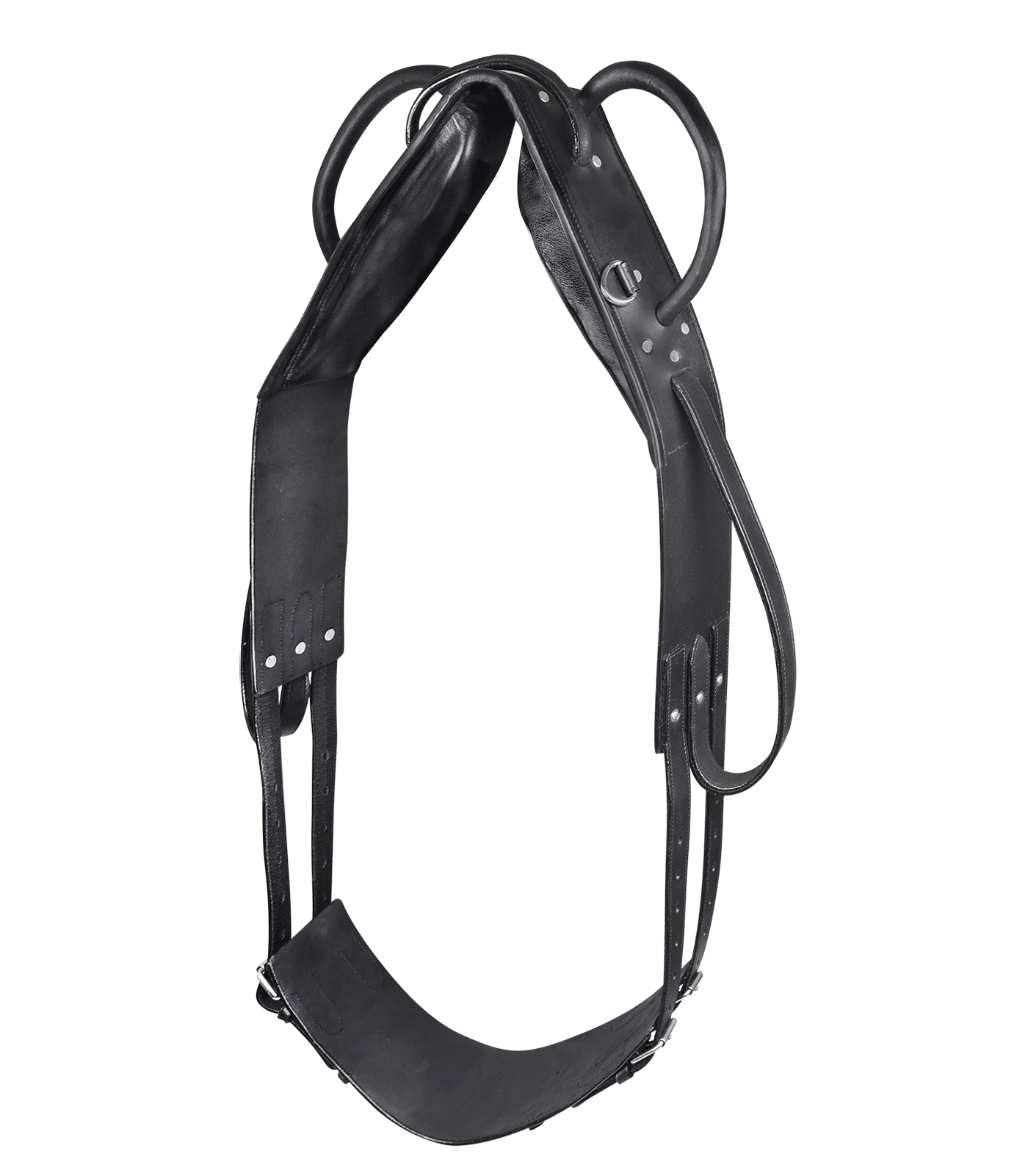 Waldhausen Longier- und Voltigiergurt Waldhausen Longier- und Voltigiergurt