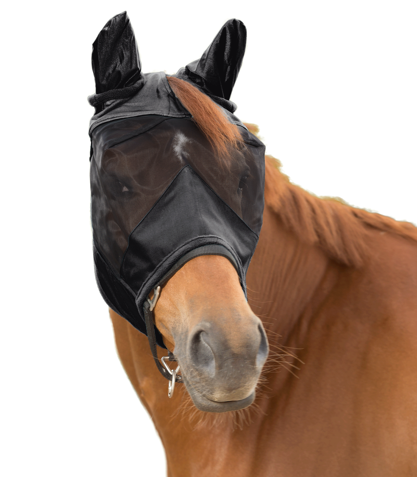Waldhausen PREMIUM Fliegenmaske 3 in 1 Waldhausen PREMIUM Fliegenmaske 3 in 1