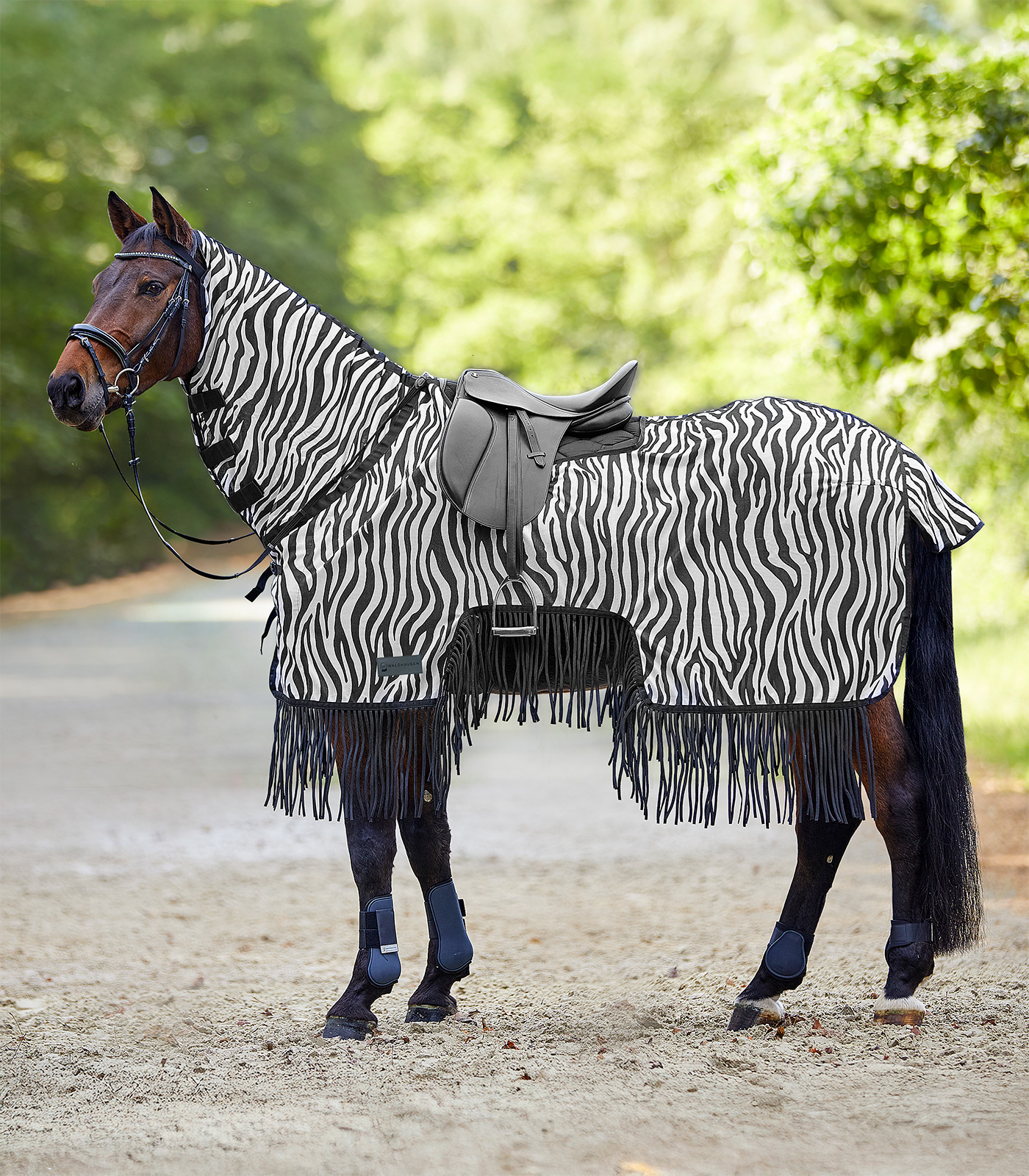 Waldhausen Fliegenausreitdecke Zebra mit Fransen Waldhausen Fliegenausreitdecke Zebra mit Fransen