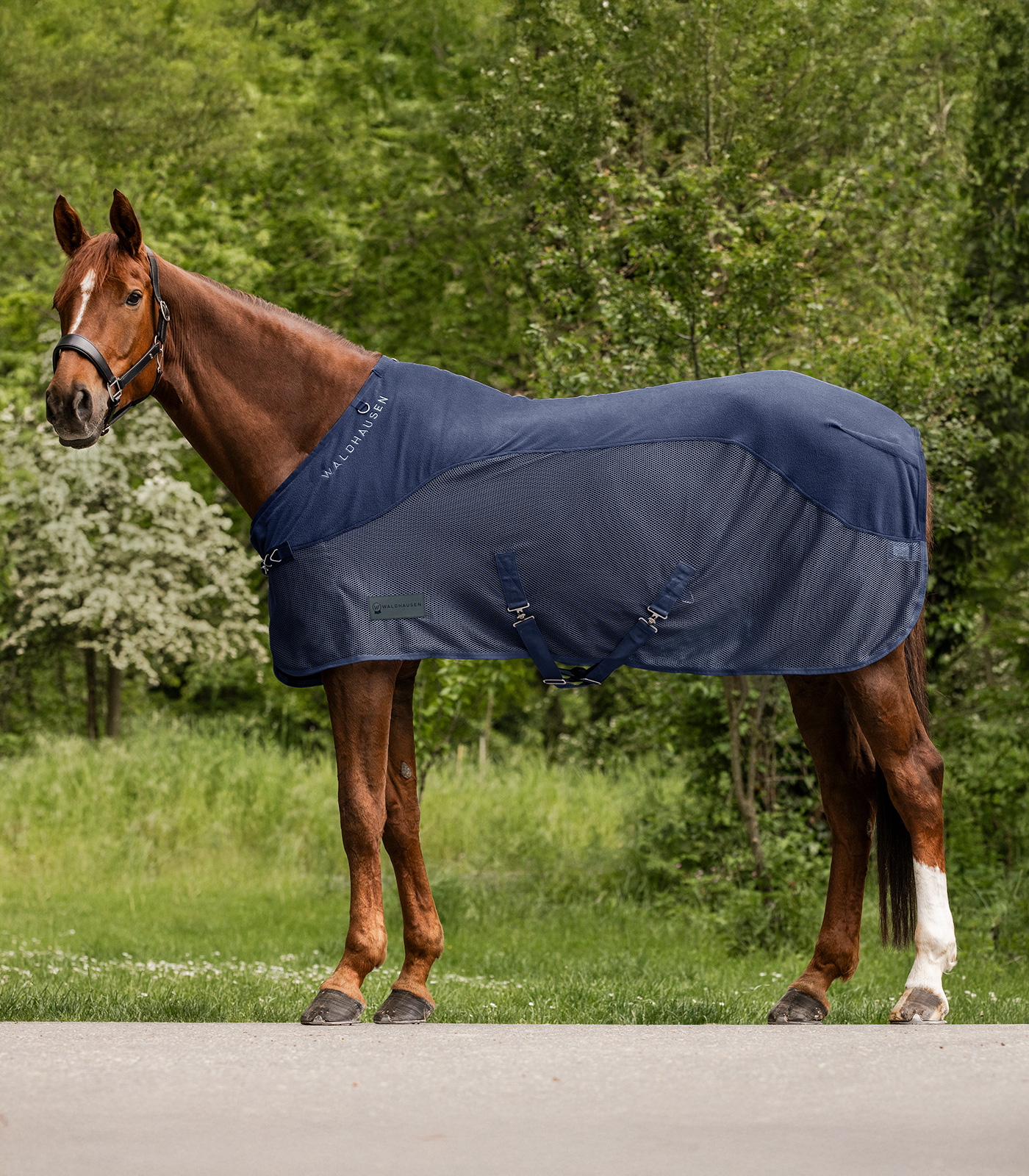 Waldhausen COMFORT Fleece-Fliegendecke Waldhausen COMFORT Fleece-Fliegendecke