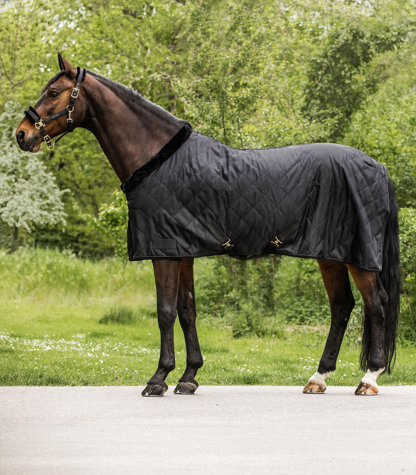 Waldhausen Transportdecke EXCLUSIVE, 50 g Waldhausen Transportdecke EXCLUSIVE, 50 g